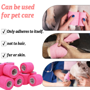 004274f3eceec4080f9fddd2cdcd23f9